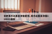 合肥易方达基金净值查询_易方达基金净值110022最新