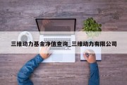 三维动力基金净值查询_三维动力有限公司