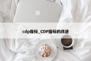 cdp指标_CDP指标的改进