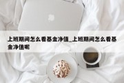 上班期间怎么看基金净值_上班期间怎么看基金净值呢