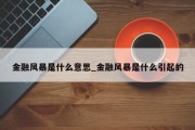 金融风暴是什么意思_金融风暴是什么引起的