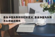 基金净值负数但分红的意义_基金净值为负数怎么收益还增长