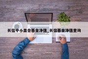 长信中小盘合基金净值_长信基金净值查询