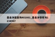 基金净值查询481081_基金净值查询1234567