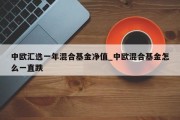 中欧汇选一年混合基金净值_中欧混合基金怎么一直跌