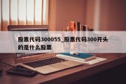 股票代码300055_股票代码300开头的是什么股票