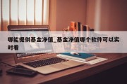 哪能提供基金净值_基金净值哪个软件可以实时看