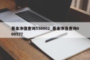 基金净值查询530002_基金净值查询000577