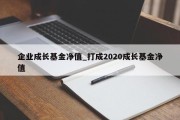 企业成长基金净值_打成2020成长基金净值