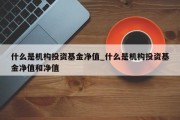 什么是机构投资基金净值_什么是机构投资基金净值和净值