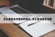 怎么查基金净值结构情况_怎么查询基金净值