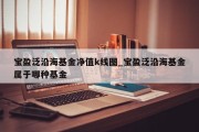 宝盈泛沿海基金净值k线图_宝盈泛沿海基金属于哪种基金