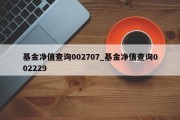 基金净值查询002707_基金净值查询002229