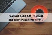 009194基金净值今天_009491基金净值查询今天最新净值009341