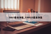 5003基金净值_530015基金净值