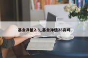 基金净值2.3_基金净值28高吗