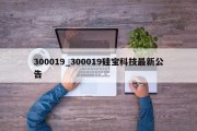 300019_300019硅宝科技最新公告