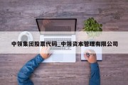 中领集团股票代码_中领资本管理有限公司