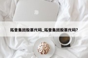 拓普集团股票代码_拓普集团股票代码?