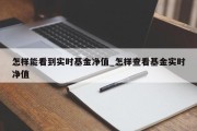 怎样能看到实时基金净值_怎样查看基金实时净值