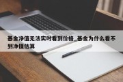 基金净值无法实时看到价格_基金为什么看不到净值估算