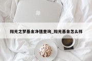 阳光之梦基金净值查询_阳光基金怎么样