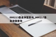 000213基金净值查询_000217基金净值查询