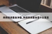 政府投资基金净值_政府投资基金是什么意思