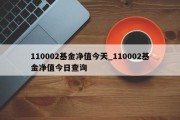 110002基金净值今天_110002基金净值今日查询