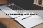 宝龙比亚迪股票代码_宝龙比亚迪全称