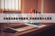 文体混合基金净值查询_文体基金是什么意思