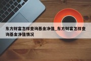 东方财富怎样查询基金净值_东方财富怎样查询基金净值情况