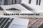 丰盈动力基金净值_丰盈添利是理财产品吗