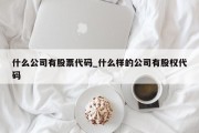 什么公司有股票代码_什么样的公司有股权代码