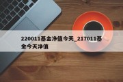 220011基金净值今天_217011基金今天净值