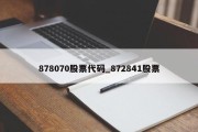 878070股票代码_872841股票