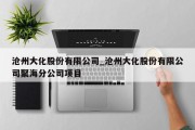 沧州大化股份有限公司_沧州大化股份有限公司聚海分公司项目