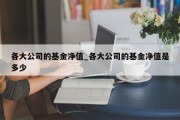 各大公司的基金净值_各大公司的基金净值是多少