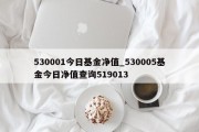 530001今日基金净值_530005基金今日净值查询519013