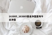 163805_163805基金净值查询今日净值