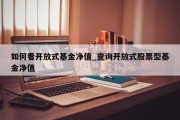 如何看开放式基金净值_查询开放式股票型基金净值