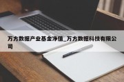 万方数据产业基金净值_万方数据科技有限公司