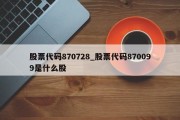 股票代码870728_股票代码870099是什么股