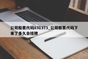 公司股票代码831373_公司股票代码下来了多久会挂牌