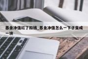 基金净值红了扣钱_基金净值怎么一下子变成一块