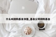 什么叫回购基金净值_基金公司回购基金