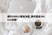 鹏华160613基金净值_鹏华基金160632净值?