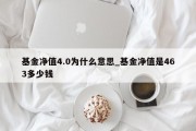 基金净值4.0为什么意思_基金净值是463多少钱