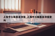 上海中小板基金净值_上海中小板基金净值查询