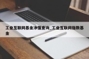 工业互联网基金净值查询_工业互联网指数基金